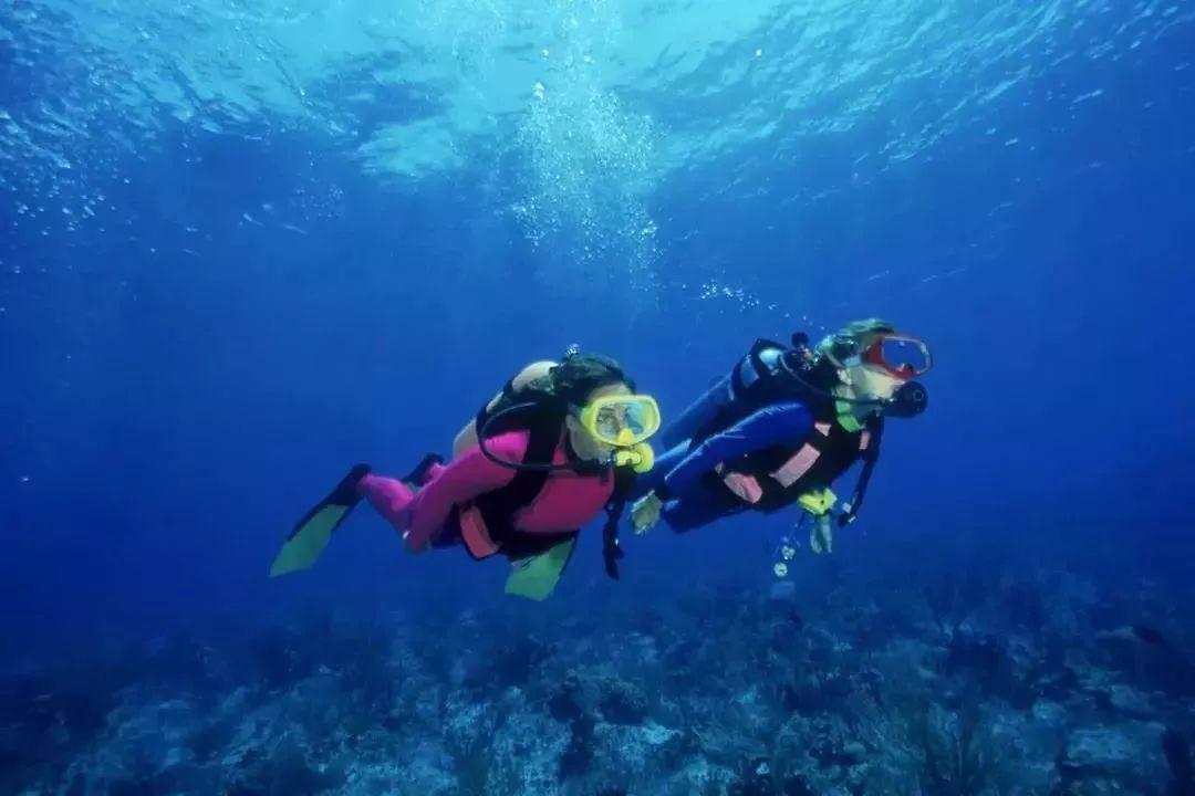 草长莺飞二月天拂堤杨柳醉春烟能体现江山之美吗？游戏画面