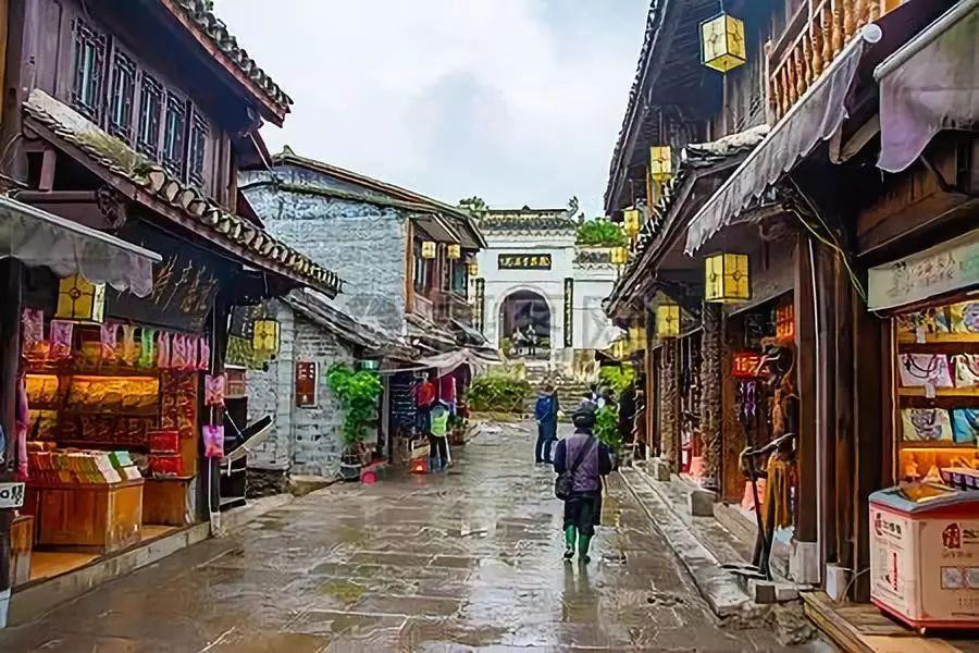 伟嘉猫粮怎么样游戏画面